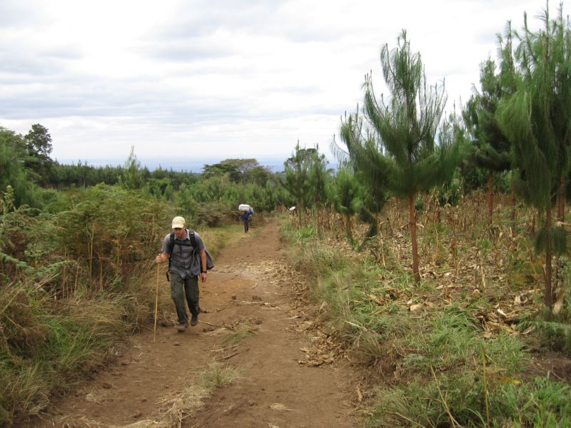 Kili (045) M. beginning hike